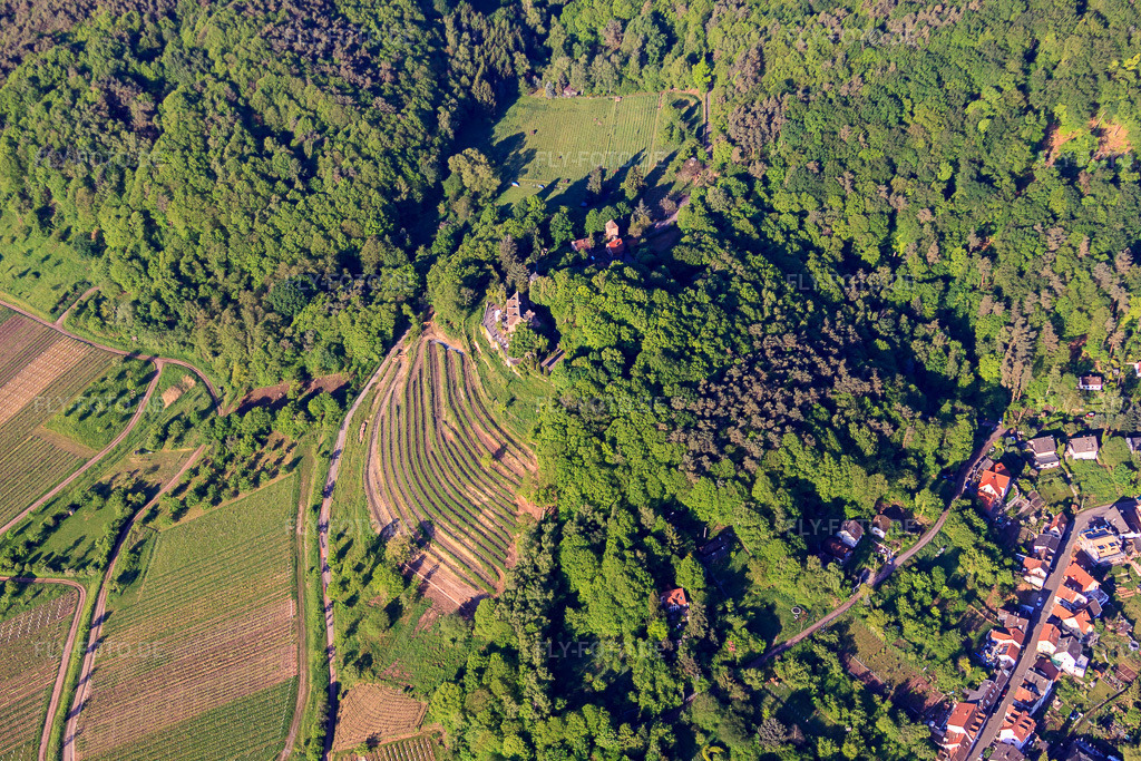 Luftbild: Weinberg Steillage unter Schloss Kropsburg im Ortsteil SaintMartin in Sankt Martin im Bundesland Rheinland-Pfalz in Deutschland. Foto: IMG_64700.jpg vom 04.05.2014 durch Werner Riehm/FLY-FOTO.deHier entsteht eine neue