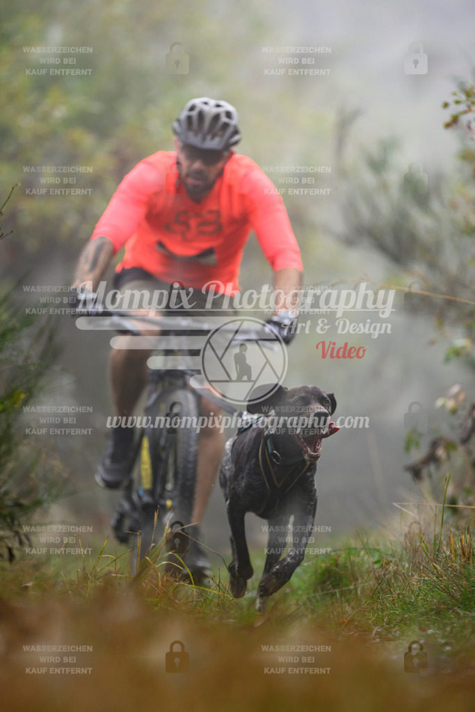 MompixPhotography_20TSB_E4_Bike-140 | PayLife