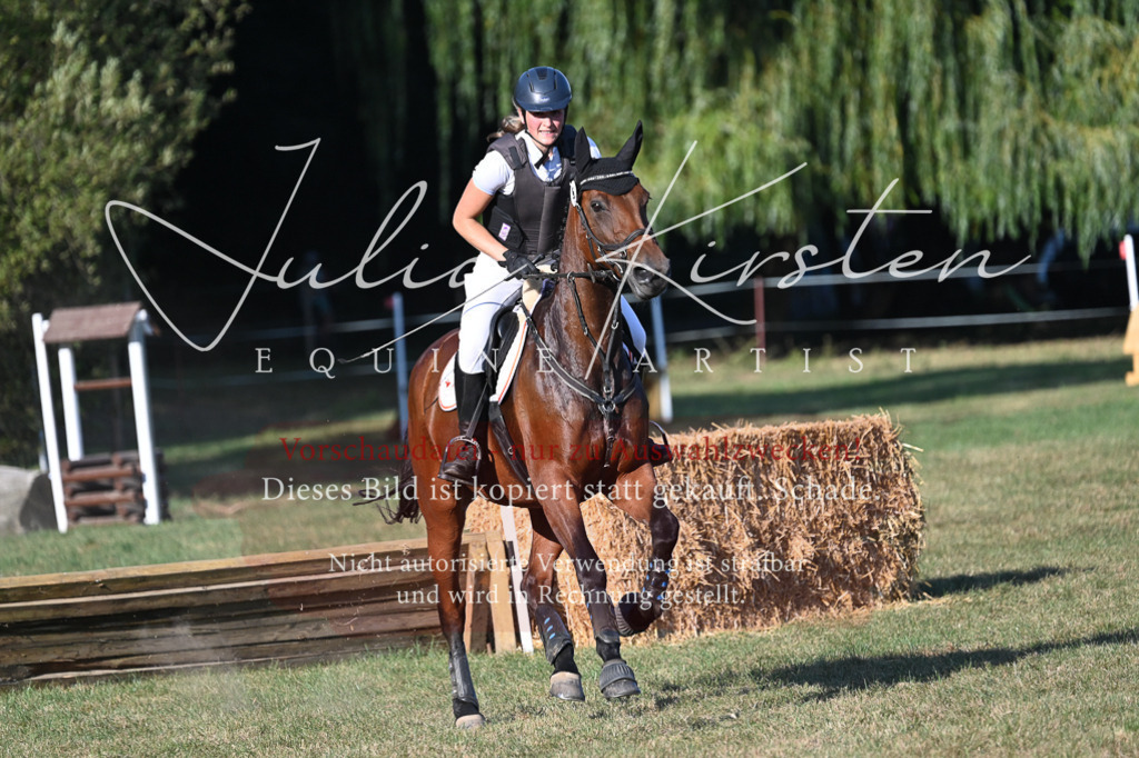DSC_9022 | Pferde- und Turnierfotografie in Westsachsen. Pferdeportraits, Auftragszeichnungen und intuitive Kunst.