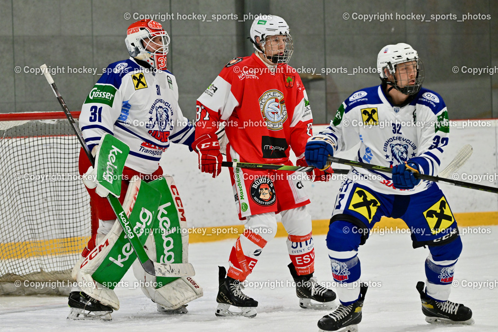 ESV Ferlach vs. UECR Eisbären Huben | #32 Wibmer Michael UECR EISBÄREN HUBEN, #87 Piuk Tobias ESV Ferlach, #31 Sicher Michael UECR EISBÄREN HUBEN, ESV Ferlach vs. UECR Eisbären Huben, ESV Ferlach vs. UECR Eisbären Huben am 31.10.2025 in Ferlach (HTC Eishalle Ferlach), Austria, (Photo by Bernd Stefan)