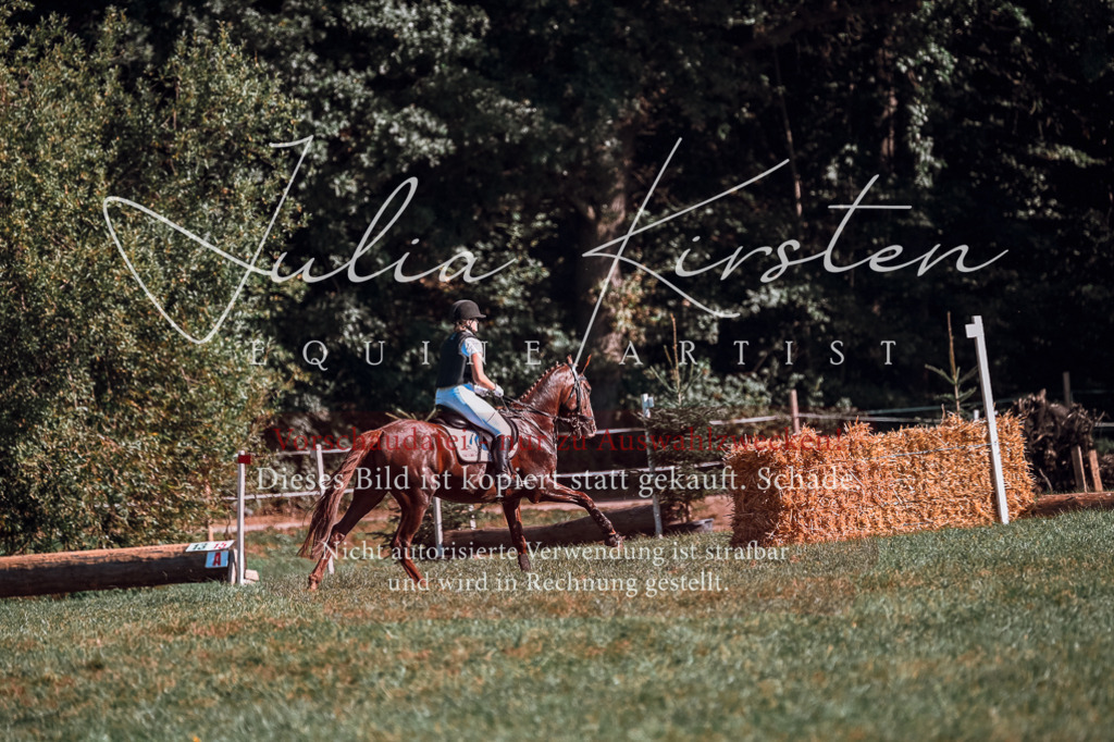DSC_0759 | Pferde- und Turnierfotografie in Westsachsen. Pferdeportraits, Auftragszeichnungen und intuitive Kunst.