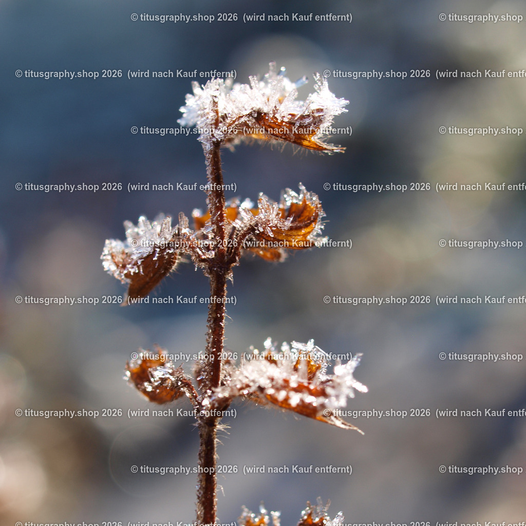 P1214097_edited | OLYMPUS DIGITAL CAMERA - Realisiert mit Pictrs.com