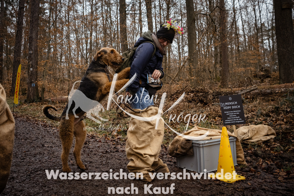 1200_ZZ93514 | kk-dogfotos