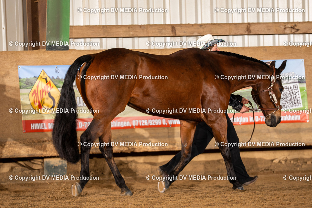 Balingen Tag 1-22 | dv-media-shop - Realisiert mit Pictrs.com