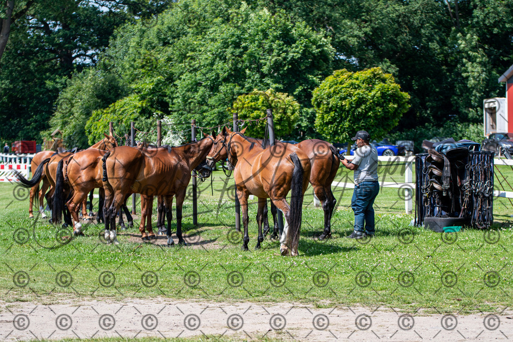 POL_2243 | andre_photographic