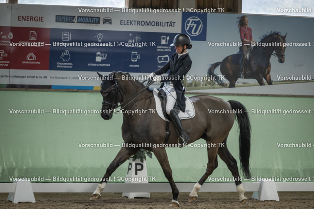 _D5A6882 | Emotionale Pferde- & People-Fotografie rund um Heidelberg, Leimen & Umgebung. Natürliche Fotos von Pferd, Mensch & Familie. Jetzt Termin sichern!