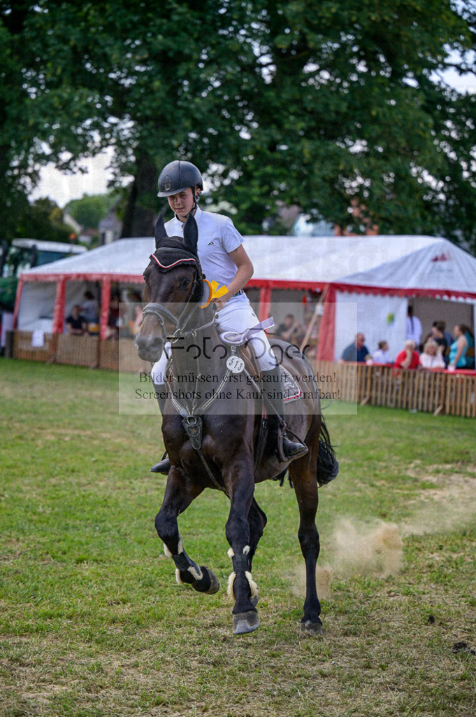 Reitturnier Voxtrup | Entdecke hochwertige Reitturnierfotos von Foto Oger. Professionell, emotional und authentisch – jetzt Lieblingsmomente im Shop bestellen.Deutschlandweite Turnierfotografie. - Realisiert mit Pictrs.com