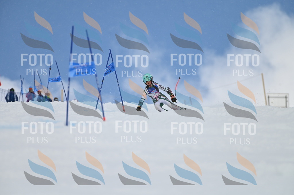 AGV_6951 | holidayphoto