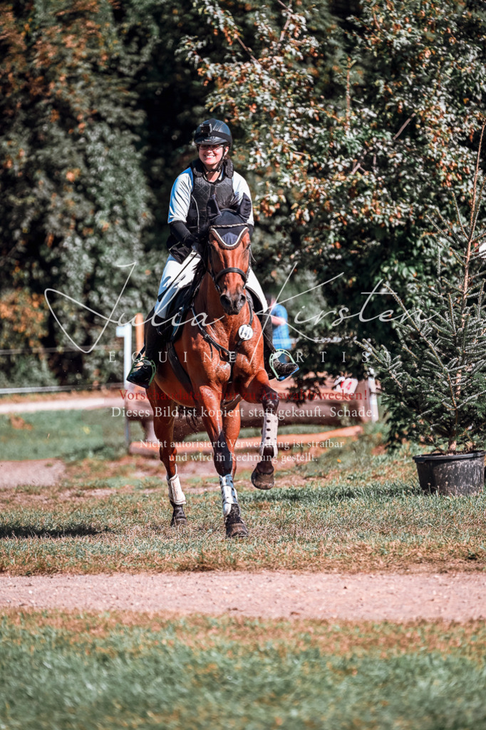 DSC_0745 | Pferde- und Turnierfotografie in Westsachsen. Pferdeportraits, Auftragszeichnungen und intuitive Kunst.
