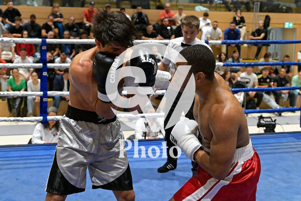 DSC_5361 | Velletri Photo