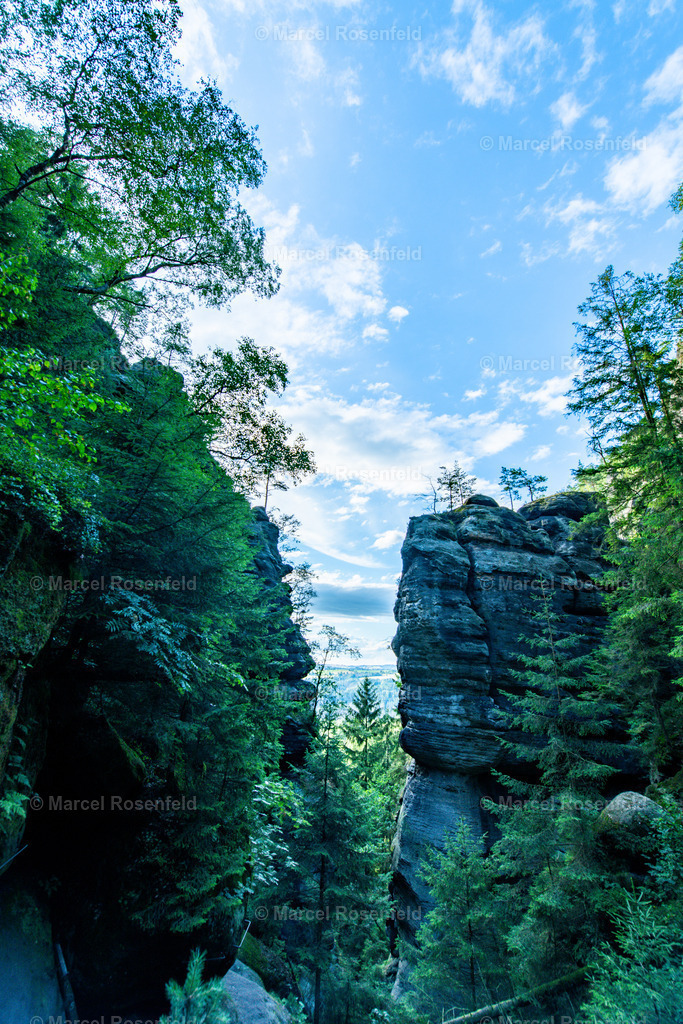 _DSC7391 | foto-rosenfeld