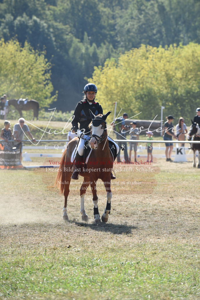 DSC_6079 | Pferde- und Turnierfotografie in Westsachsen. Pferdeportraits, Auftragszeichnungen und intuitive Kunst.