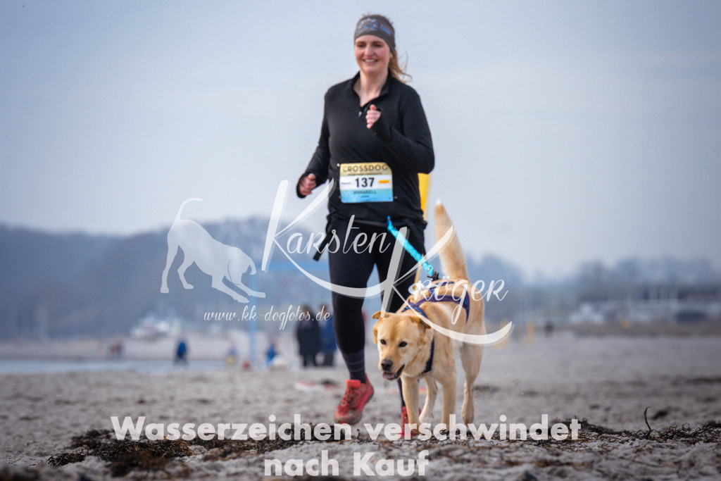 1038_ZZ95701 | kk-dogfotos
