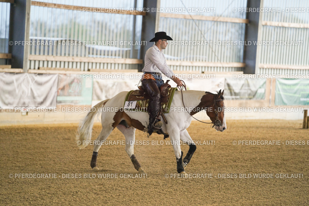 DSC09242 | Pferdegrafie