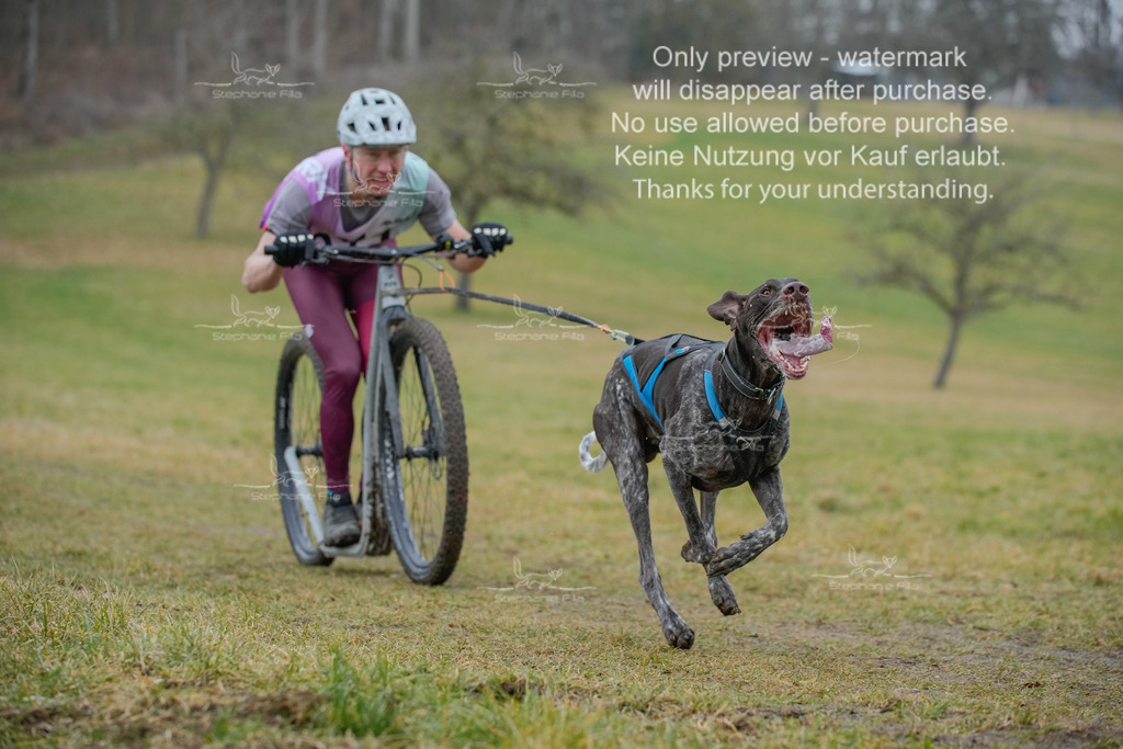 Sa_Scooter1-36 | stephaniefillaphotographie - Realisiert mit Pictrs.com