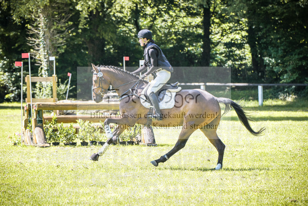 DOS_5408 | Entdecke hochwertige Reitturnierfotos von Foto Oger. Professionell, emotional und authentisch – jetzt Lieblingsmomente im Shop bestellen.Deutschlandweite Turnierfotografie. - Realisiert mit Pictrs.com