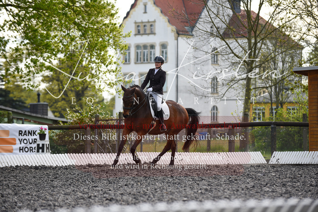 20230513_JK-Röhrsdorf-17-363 | Pferde- und Turnierfotografie in Westsachsen. Pferdeportraits, Auftragszeichnungen und intuitive Kunst.