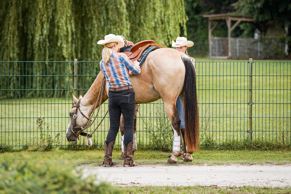 DSC08507 | Pferdegrafie