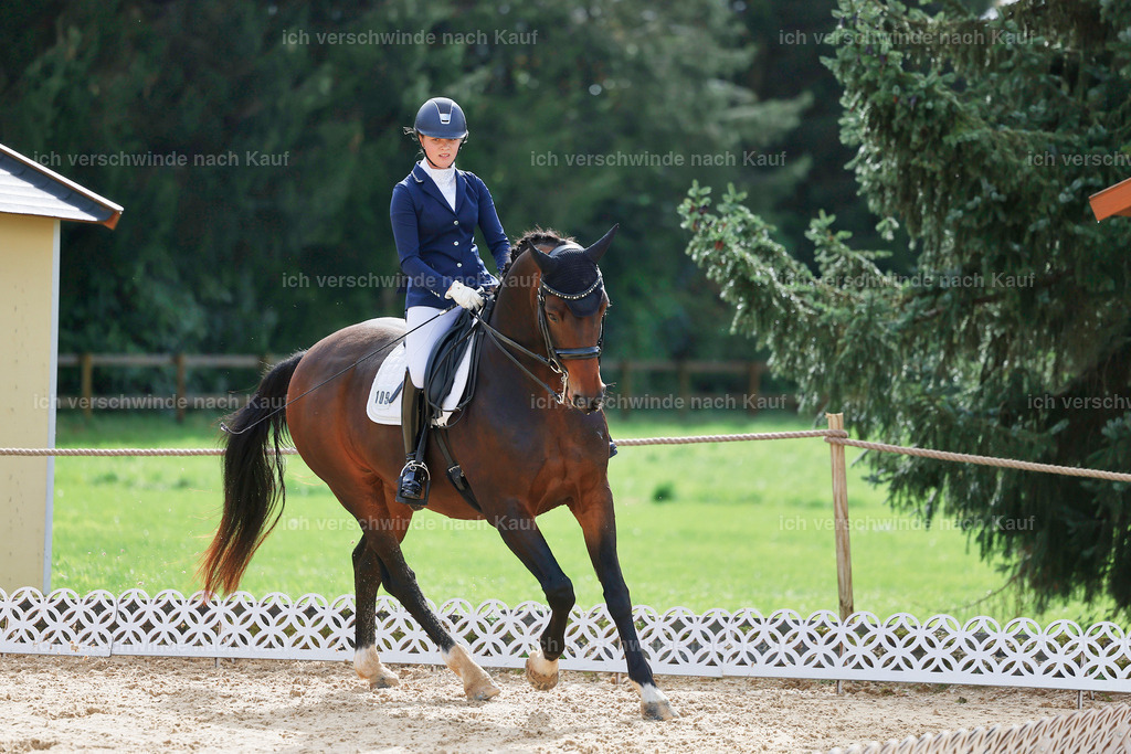 05-109-DRESSUR M_  -StoibPH-4927 | working equitationturnier fotograf videograf stoibphotography marixx film working equitation deutschland reitsport turnierfotografie eventfotografie equestrian events