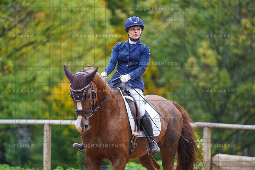 20221008-FAH01731 | Diessen am Ammersee, 2022, Dressur- und Springturnier, Reitsportbilder, Turnierfotografen Bayern, Pferdefotografen, Fotoagentur Herrmann, Turnierbilder