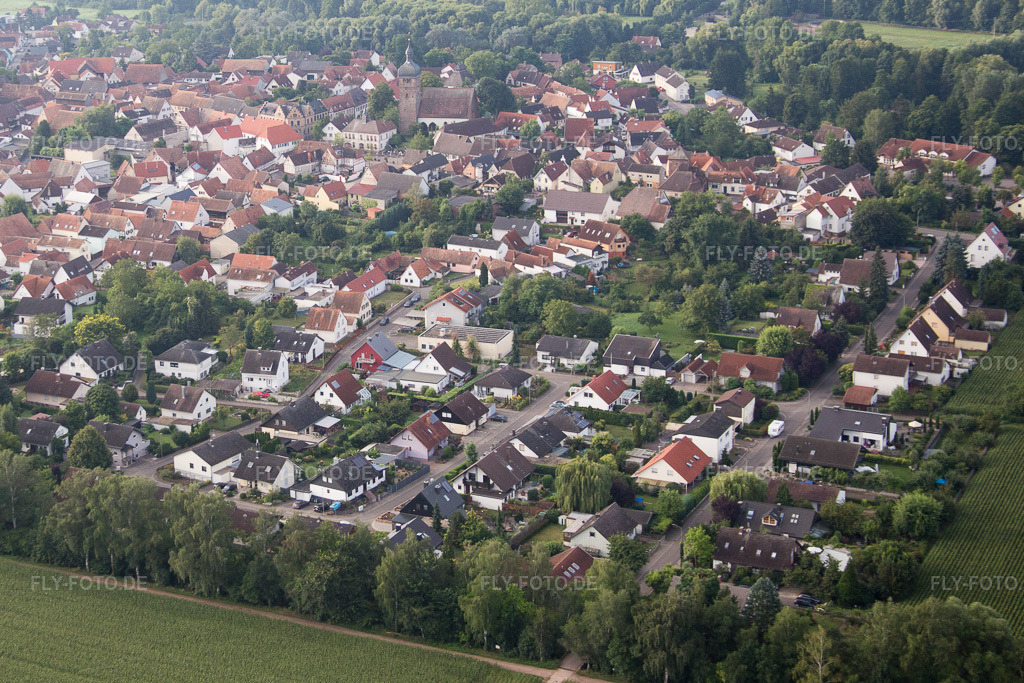 Luftbild: Billigheim-Ingenheim, Maxburgstr im Ortsteil Billigheim in Billigheim-Ingenheim im Bundesland Rheinland-Pfalz in Deutschland. Foto: IMG_092779.jpg vom 13.08.2016 durch Werner Riehm/FLY-FOTO.de