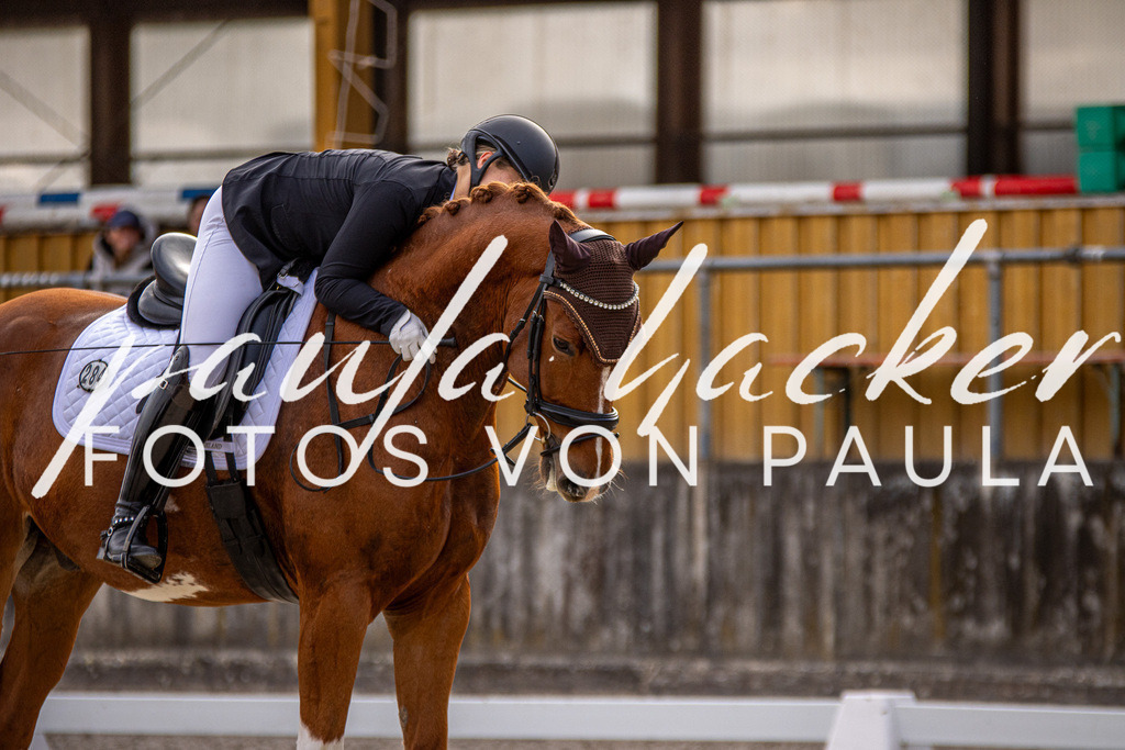 IMG_3360 | Erleben Sie dynamische Sport- und emotionale Tierfotografie in Süddeutschland mit Fotos von Paula. Spezialisiert auf Pferde- und Hundefotografie sowie Sportevents. Kontaktieren Sie mich für einzigartige und ausdrucksstarke Bilder Ihrer besonderen Momente. - Realisiert mit Pictrs.com