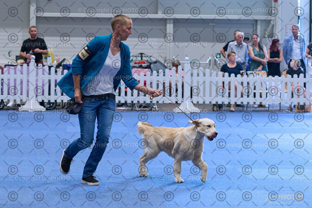 202406_ÖKV-IHA-Tulln24_DSC_3627 | proPHOTO - Realisiert mit Pictrs.com