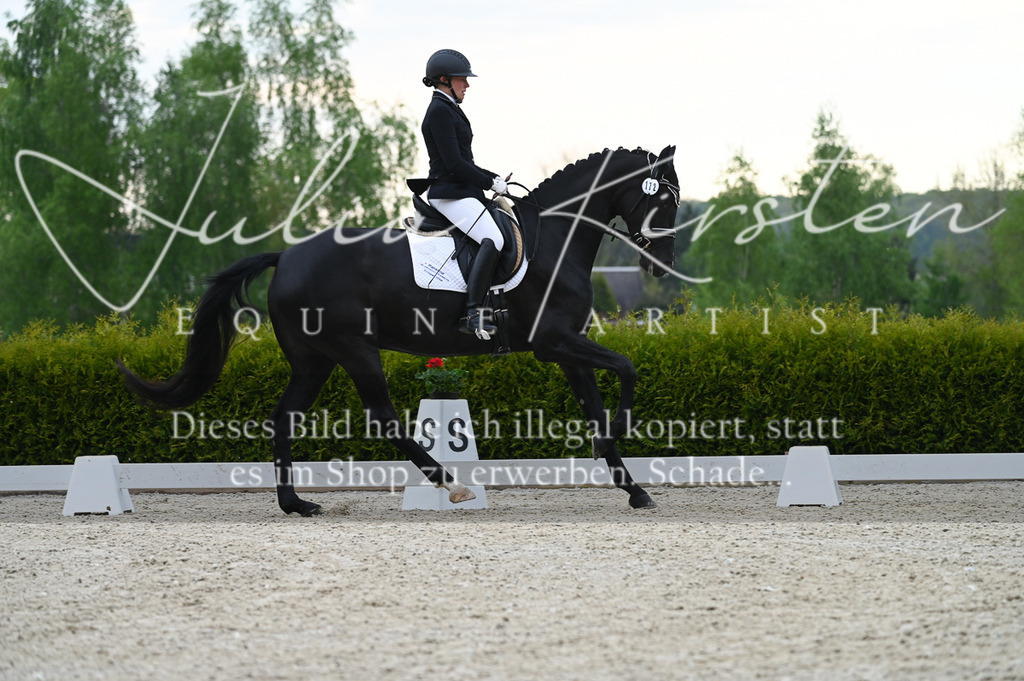 20230512_JK-Röhrsdorf-02-042 | Pferde- und Turnierfotografie in Westsachsen. Pferdeportraits, Auftragszeichnungen und intuitive Kunst.