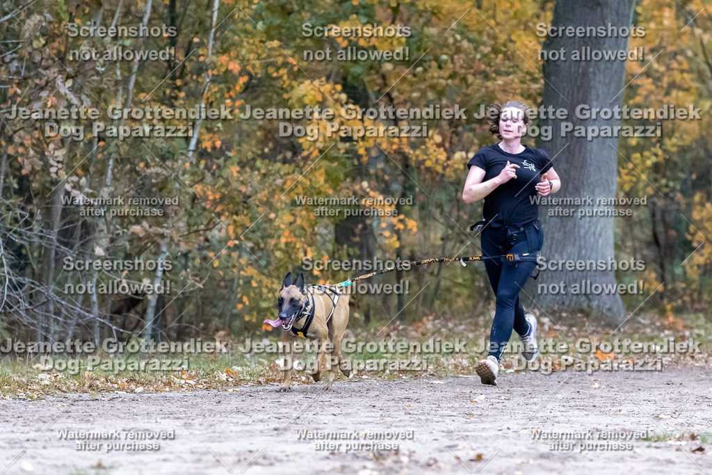 Dog Paparazzi - SD CaniX Championship 2025-145 | Dog Paparazzi Jeanette Grottendiek Fotografie & Videografie - Realisiert mit Pictrs.com