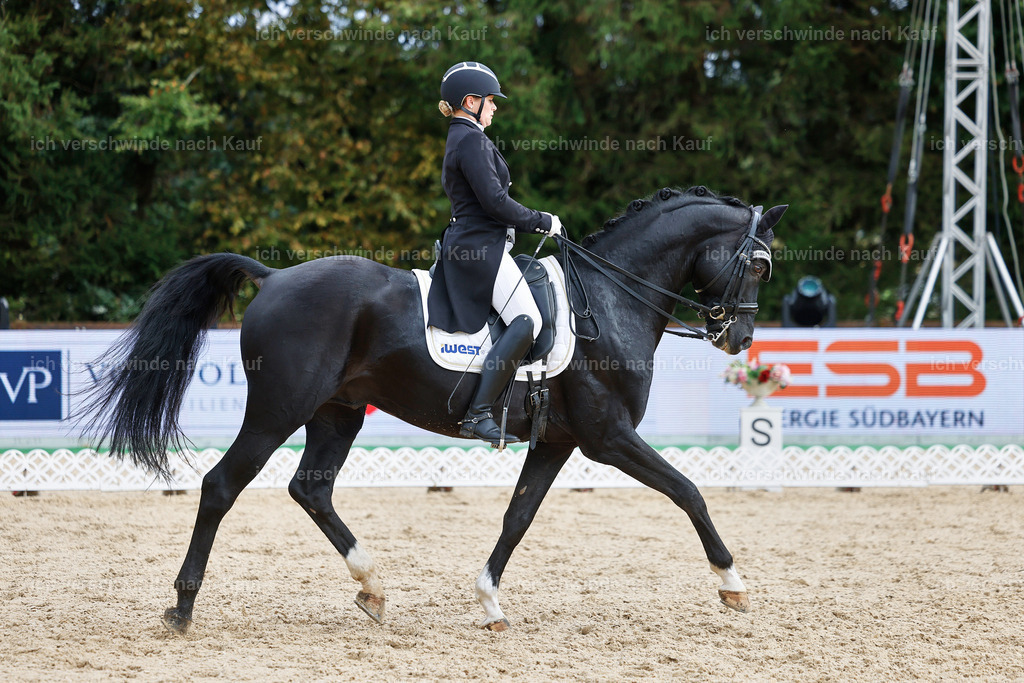 07-093-DRESSUR  S___  -StoibPH-5025 | working equitationturnier fotograf videograf stoibphotography marixx film working equitation deutschland reitsport turnierfotografie eventfotografie equestrian events