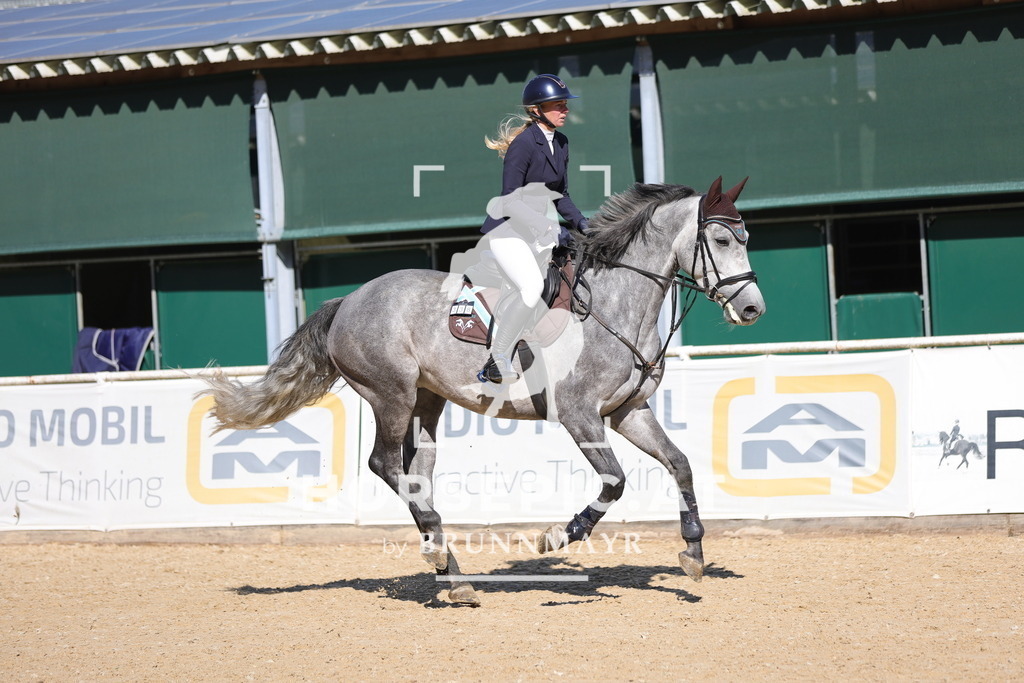 0P6A9584 | Willkommen bei Brunnmayr - Design & Fotografie – Ihrem Spezialisten für Reitturniere und Pferdeveranstaltungen in Oberösterreich, Salzburg und Bayern! Seit über 17 Jahren sind wir leidenschaftlich dabei.