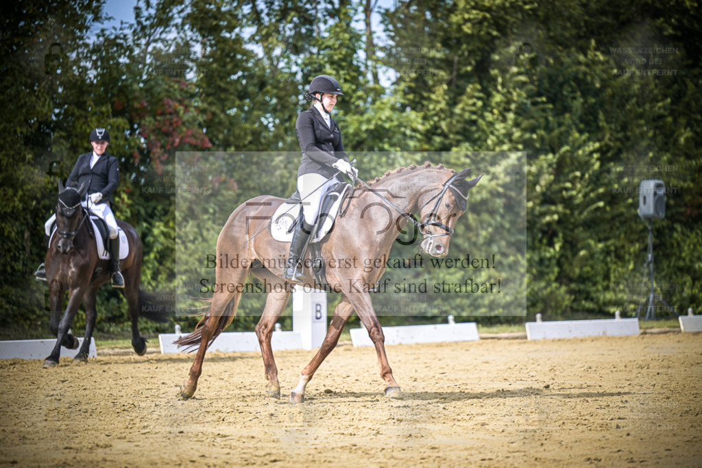 DOS_6617 | Entdecke hochwertige Reitturnierfotos von Foto Oger. Professionell, emotional und authentisch – jetzt Lieblingsmomente im Shop bestellen. - Realisiert mit Pictrs.com