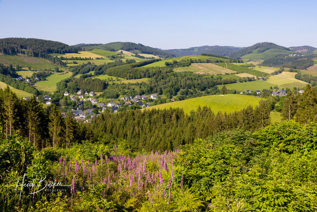 Westfeld und Umgebung 042 | Bilder und Impressionen zu jeder Jahreszeit aus dem Sauerland im Naturpark Sauerland-Rothaargebirge - Realisiert mit Pictrs.com