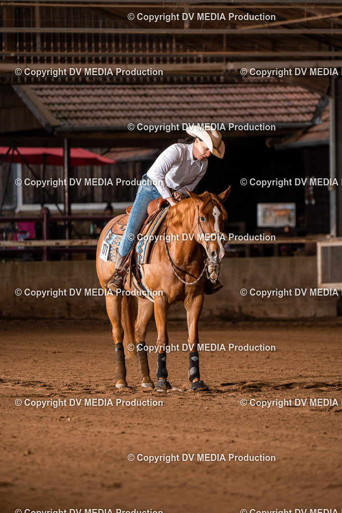 Erbach Tag 3-932 | dv-media-shop - Realisiert mit Pictrs.com