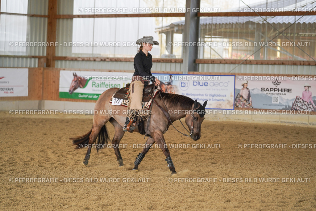 DSC00377 | Pferdegrafie