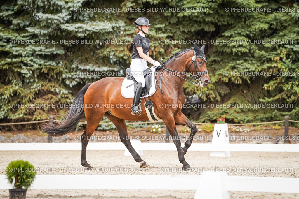 DSC06068 | Pferdegrafie