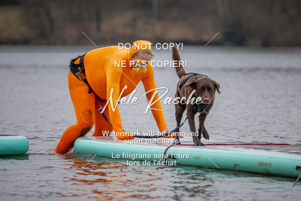 nelerasche_Hulsbeek_Sa1430-1515_268 | nelerasche