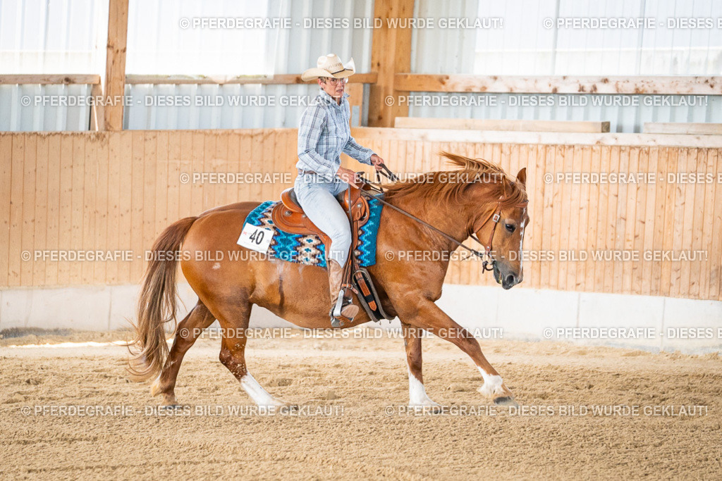 DSC02422 | Pferdegrafie