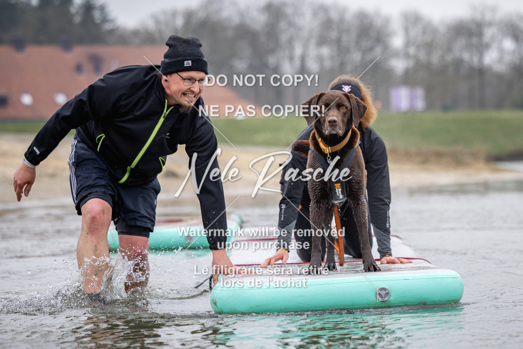 nelerasche_Hulsbeek_Sa1130-1230_351 | nelerasche