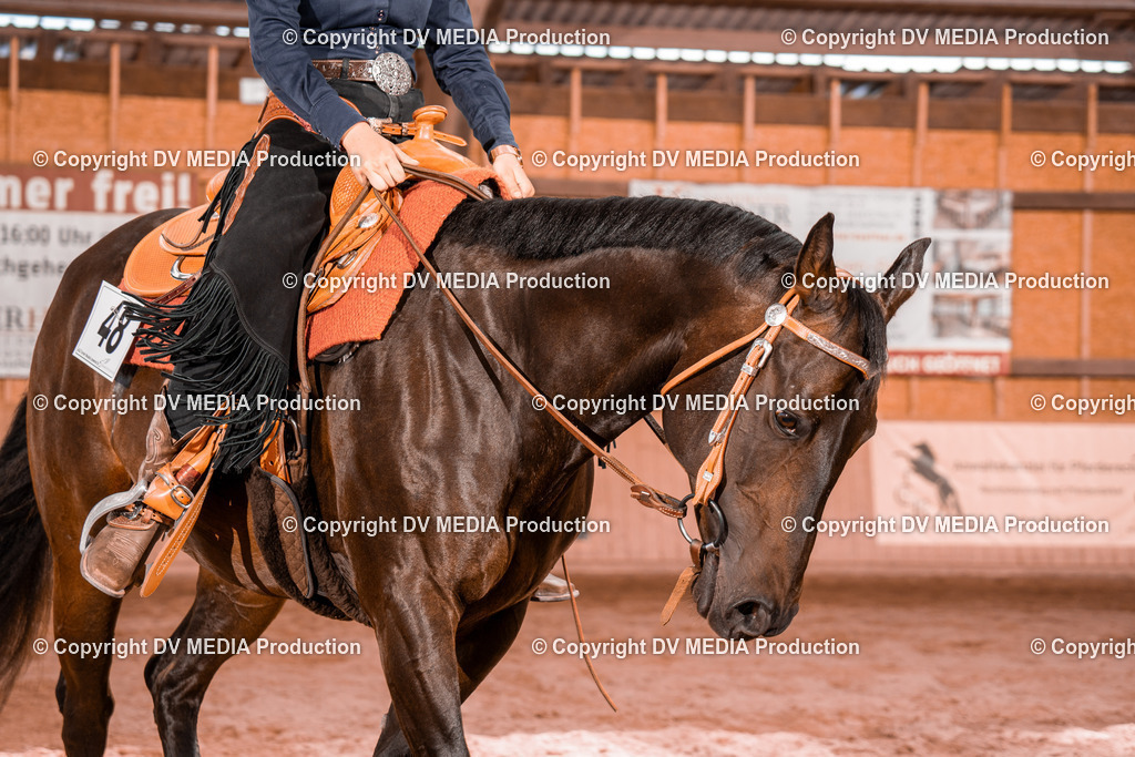 NE200676 | dv-media-shop - Realisiert mit Pictrs.com