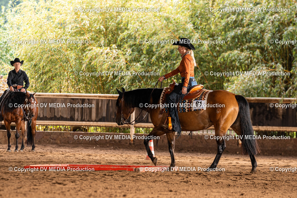 Erbach Tag 1-107 | dv-media-shop - Realisiert mit Pictrs.com