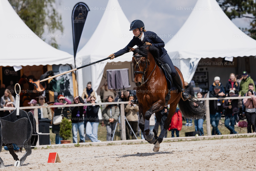 PI26_SP_StoibphotographyC2_C3322.CR3 | working equitationturnier fotograf videograf stoibphotography marixx film working equitation deutschland reitsport turnierfotografie eventfotografie equestrian events