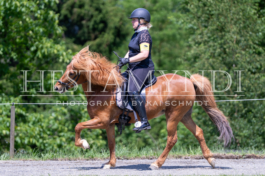 KAI04016 | Ihr sucht einen Fotografen für eure nächste OSI? Ich begleite auch euer Turnier für Islandpferde fotografisch.  - Realisiert mit Pictrs.com