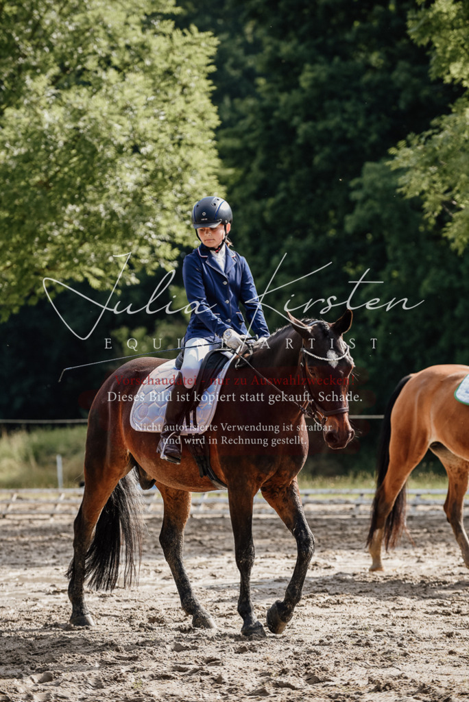 DSC_9198 | Pferde- und Turnierfotografie in Westsachsen. Pferdeportraits, Auftragszeichnungen und intuitive Kunst.