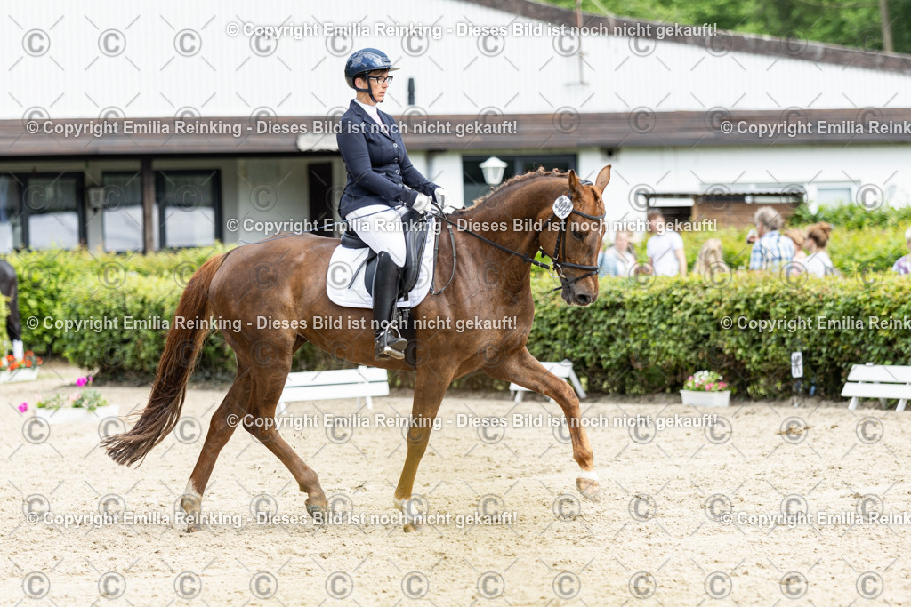 CL5A4957-2 | Emilia Reinking Fotografie - Realisiert mit Pictrs.com