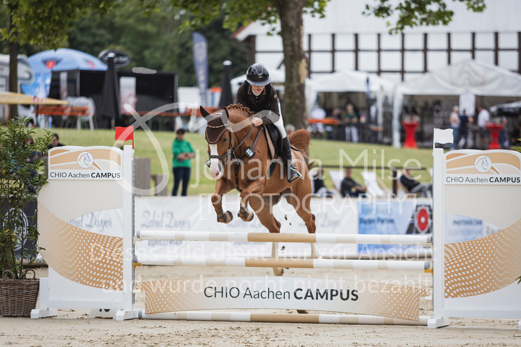 250710_BHO_Stil-A1-2-137 | Deine schönsten Turniermomente als professionelle Fotos! Entdecke hochwertige Pferdesport-Fotografie im Online-Shop. Jetzt Fotos finden & bestellen!