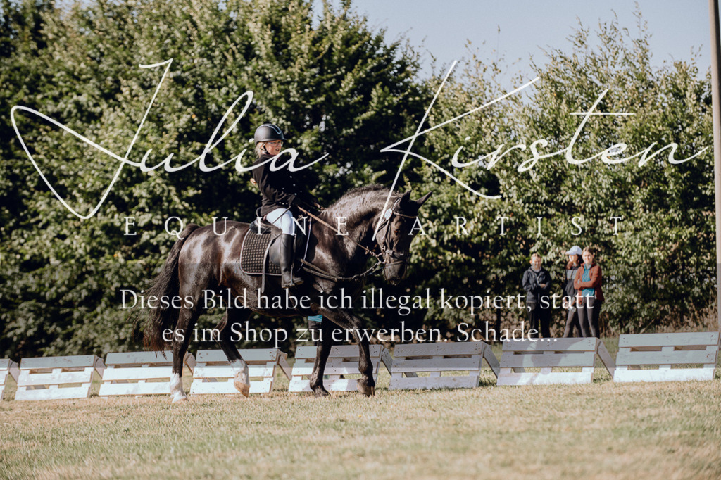 DSC_6948 | Pferde- und Turnierfotografie in Westsachsen. Pferdeportraits, Auftragszeichnungen und intuitive Kunst.