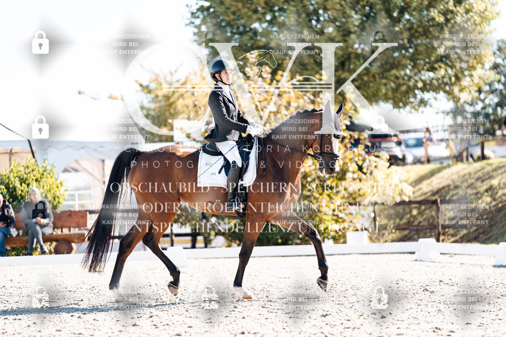 CK908622 | Turnierfotografie Pferdefotografie Trier Rheinland-Pfalz Pferdesport Reitsport Tierfotografie Sportfotografie Pferdevideo Pferdevideografie Equestrianvideography equestrianphotography  - Realisiert mit Pictrs.com