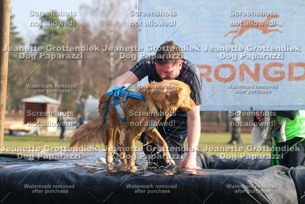 Dog Paparazzi - Strongdog North Mrz26-1586 | Dog Paparazzi Jeanette Grottendiek Fotografie & Videografie - Realisiert mit Pictrs.com