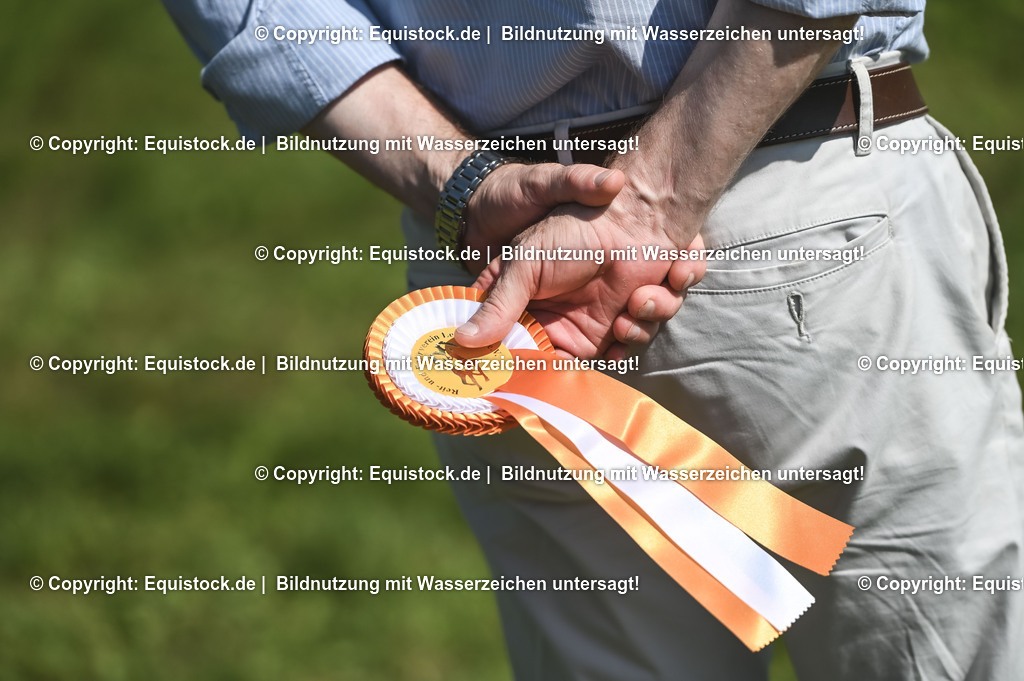 20230909_22_Springen_M_0164 | Foto: Thomas Hartig